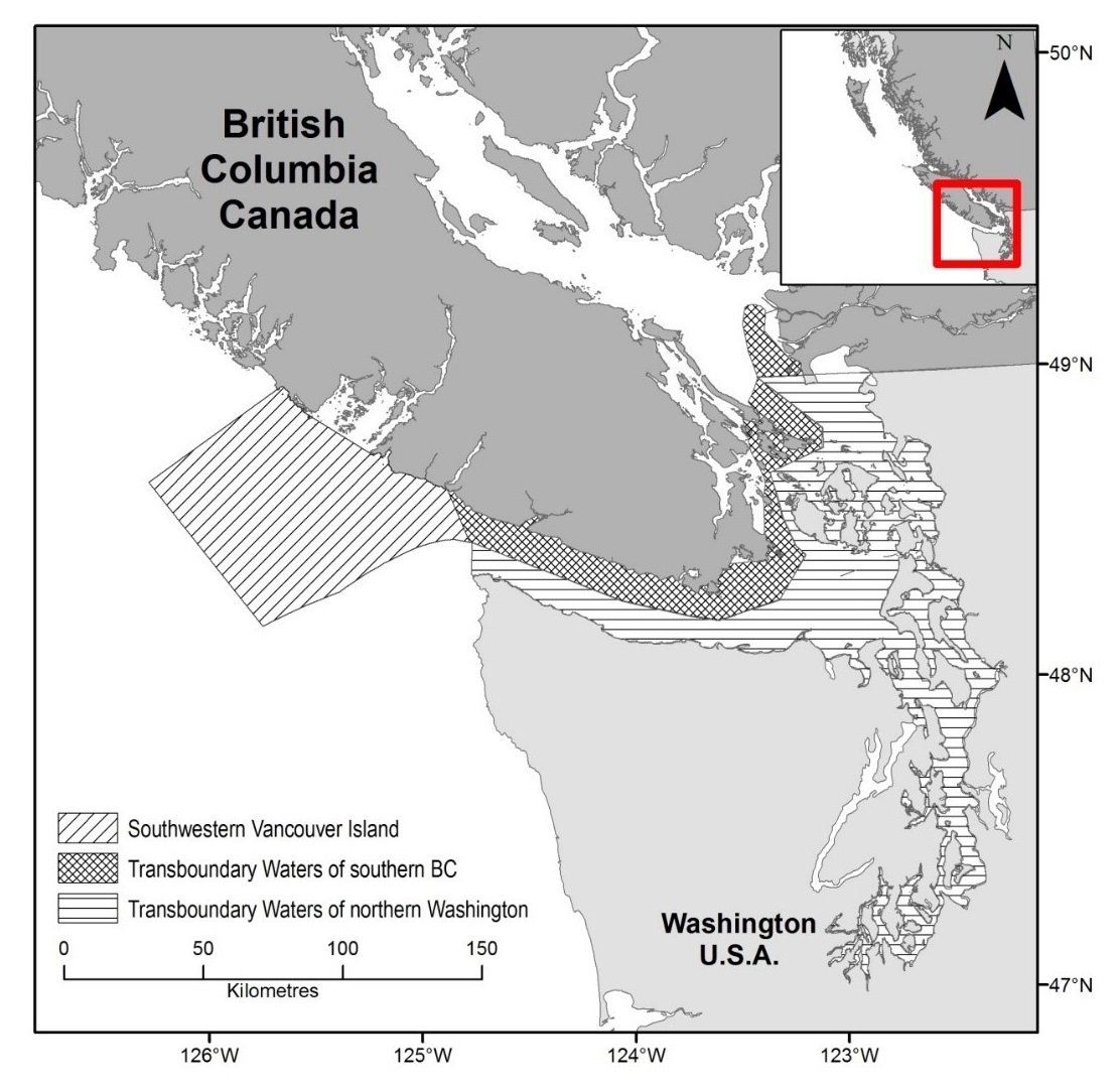 Rectangular map in grey, white and red showing the critical habitat for the Southern Resident Killer Whale in British Columbia, Canada, and Washington, U.S.A.
